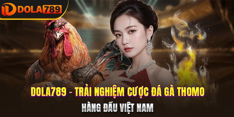 DALA789 Trãi nghiệm cược đá gà THOMO hàng đầu Việt Nam