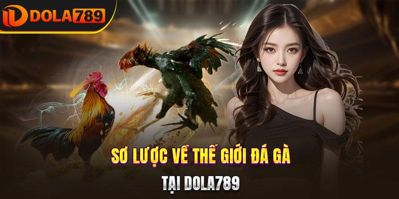 Sơ lược về thế giới đá gà tại DOLA789